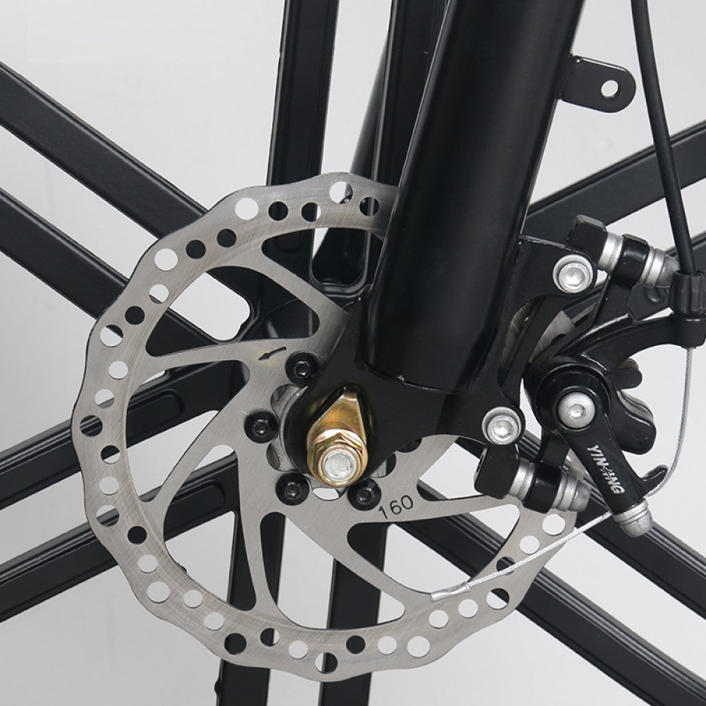 mechanical disk brake of an electric bike